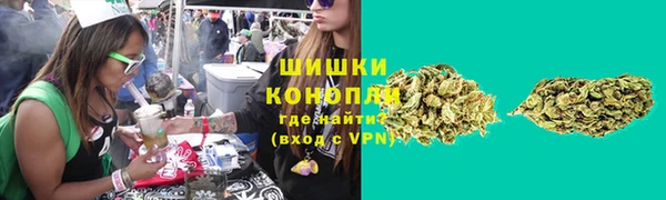ГАЛЛЮЦИНОГЕННЫЕ ГРИБЫ Алзамай