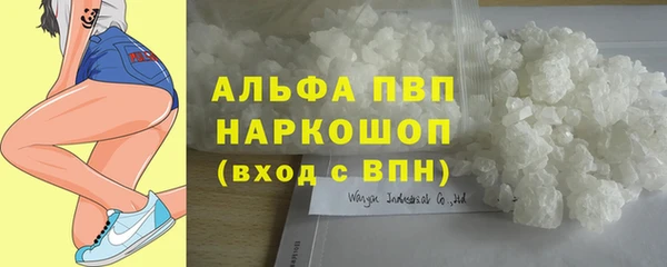 спайс Михайлов