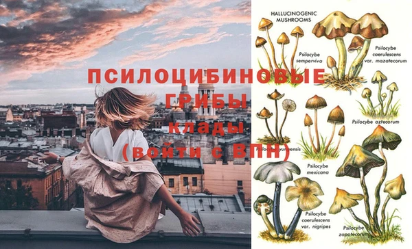 ГАЛЛЮЦИНОГЕННЫЕ ГРИБЫ Алзамай