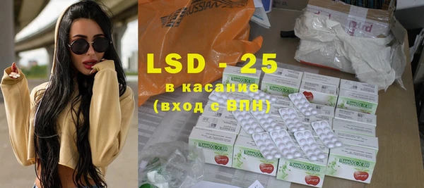ГАЛЛЮЦИНОГЕННЫЕ ГРИБЫ Алзамай