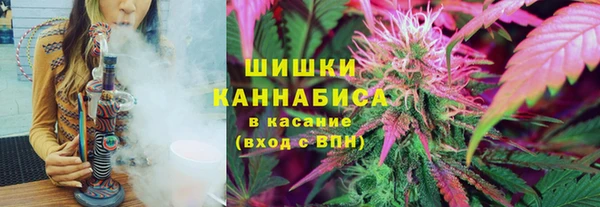 ГАЛЛЮЦИНОГЕННЫЕ ГРИБЫ Алзамай