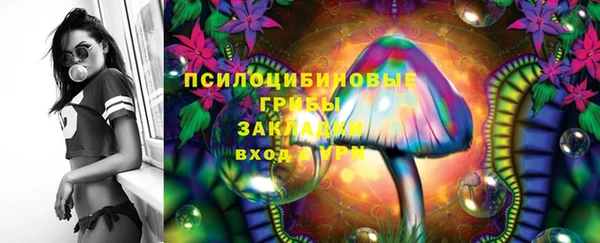 ГАЛЛЮЦИНОГЕННЫЕ ГРИБЫ Алексин