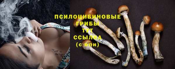 ГАЛЛЮЦИНОГЕННЫЕ ГРИБЫ Алзамай